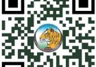 अंतरराष्ट्रीय बाघ दिवस पर होगा 'रन फॉर इंद्रावती' मैराथन का आयोजन