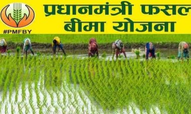 उद्यानिकी फसलों का फसल बीमा कराने की अंतिम तिथि 31 जुलाई तक