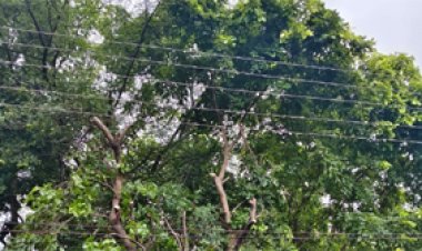 मुख्यमंत्री हेल्पलाइन बनी समाधान का माध्यम