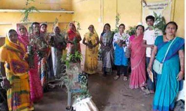 मुख्यमंत्री विष्णुदेव साय के नेतृत्व में पर्यावरण संरक्षण को जनआंदोलन बनाने की अभिनव पहल