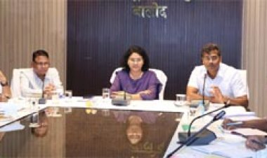 कलेक्टर ने ली बालोद विकासखण्ड के स्वास्थ्य विभाग के अधिकारी-कर्मचारियों की बैठक