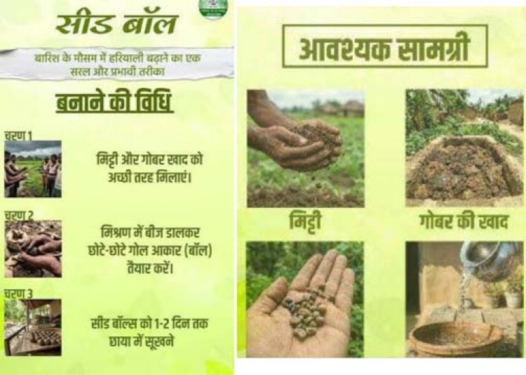 सीड बॉल अभियान- हरियाली बढ़ाने का सरल और प्रभावी माध्यम