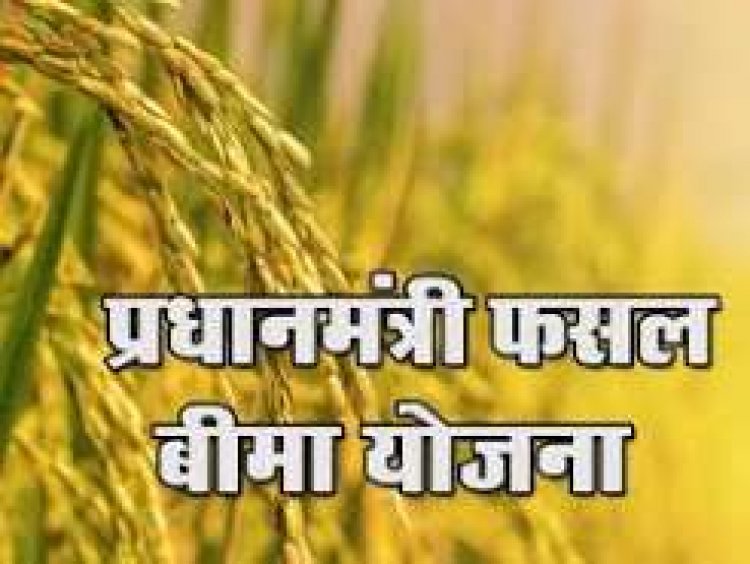 खरीफ 2026 हेतु फसल बीमा कराने की अंतिम तिथि 31 जुलाई