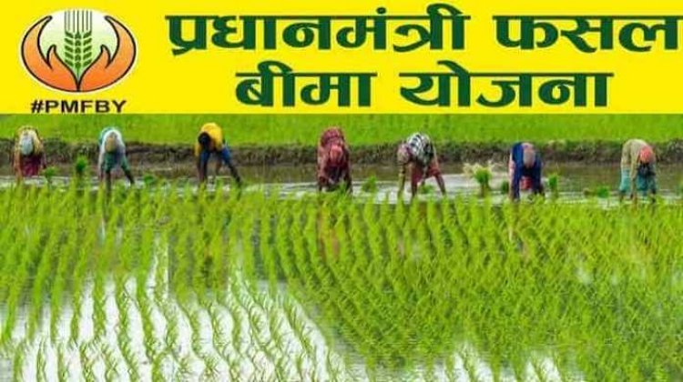 उद्यानिकी फसलों का फसल बीमा कराने की अंतिम तिथि 31 जुलाई तक
