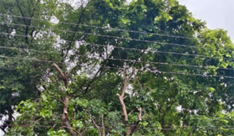 मुख्यमंत्री हेल्पलाइन बनी समाधान का माध्यम