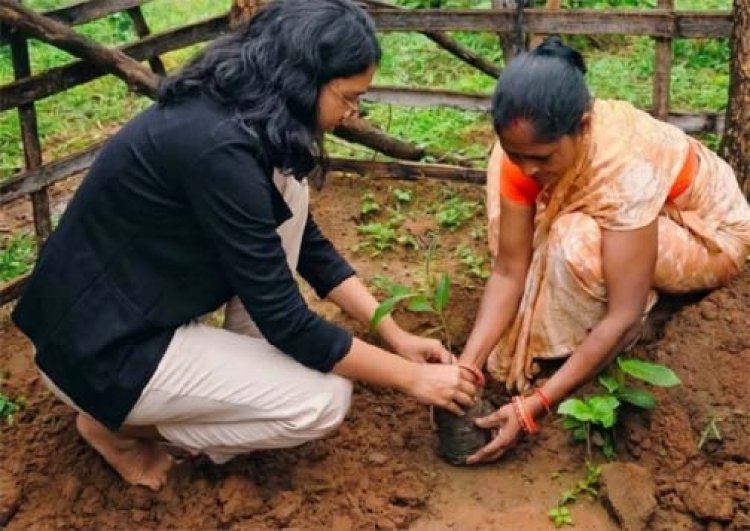 आंगनबाड़ी केंद्रों में पोषण शिक्षा को नई दिशा, स्थानीय खाद्य संसाधनों और मिलेट्स को मिलेगा बढ़ावा