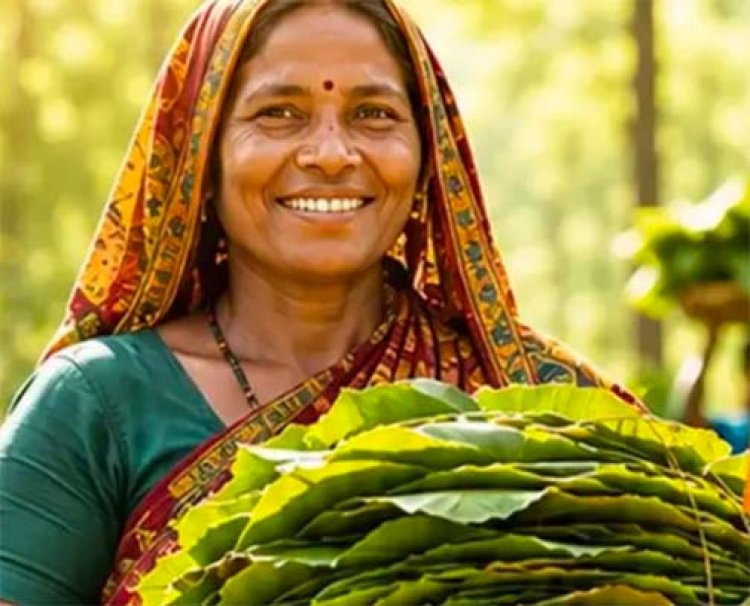 23,723 तेन्दूपत्ता संग्राहक परिवारों को मिलेगा 3.92 करोड़ रुपये का बोनस