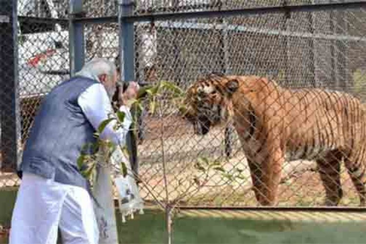 प्रकृति और वन्यजीव संरक्षण का अनूठा संगम है नंदनवन जंगल सफारी
