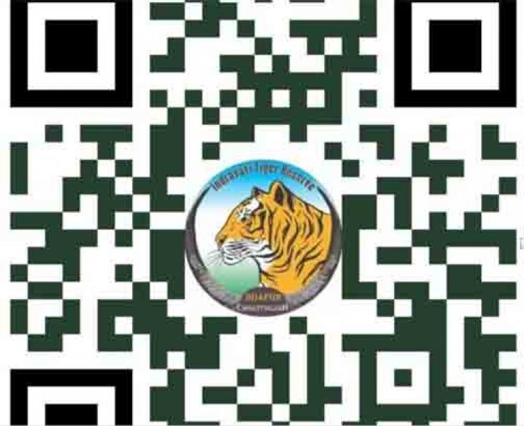 अंतरराष्ट्रीय बाघ दिवस पर होगा 'रन फॉर इंद्रावती' मैराथन का आयोजन