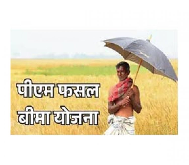 प्रधानमंत्री फसल बीमा योजना का लाभ लेने अब केवल 2 दिन शेष