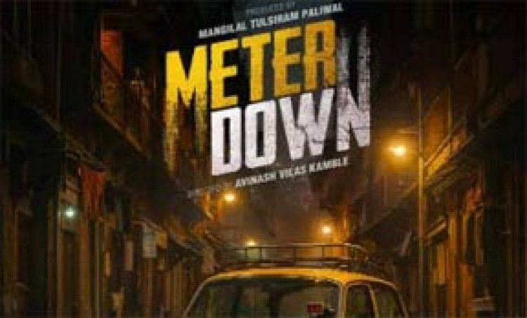 स्टटगार्ट फिल्म महोत्सव में 'डिटेक्टिव मीटर डाउन' को सर्वश्रेष्ठ लघु फिल्म का पुरस्कार