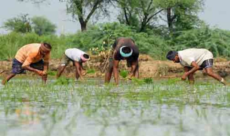 कैबिनेट ने पीएम-किसान योजना को वित्त वर्ष 2027 से 2031 तक जारी रखने को दी मंजूरी