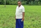 धान से आगे बढ़कर सन की खेती अपनाने वाले किसान सुखदेव सिदार बने फसल विविधीकरण की मिसाल