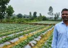सूक्ष्म सिंचाई योजना से खेती बनी अधिक लाभकारी, ड्रिप सिंचाई अपनाकर किसान ने बढ़ाया सब्जी उत्पादन