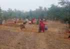 मनरेगा से बदली निम्मलगुड़ा की तस्वीर