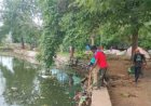 आयुक्त के निर्देश पर शहरभर में नालियों की सफाई अभियान तेज