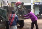 नगर निगम द्वारा नियमित साफ-सफाई, जलनिकासी और सड़क मरम्मत कार्य किया जा रहा