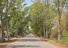 नांदघाट-मुंगेली रोड होगा फोरलेन, राज्य शासन ने मंजूर किए 21.81 करोड़