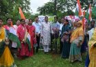 जन्मदिवस के अवसर पर कोसा नगर मैदान में विशेष वृक्षारोपण