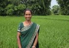 बिहान से आत्मनिर्भर बनीं शकुंतला राजवाड़े, कम लागत की खेती से बढ़ा आय का आधार