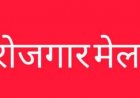 रायपुर जिले में 2 सितंबर  को रोजगार मेला, निजी क्षेत्र की 8 कंपनियों द्वारा 877 पदों पर भर्ती