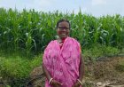 “बहनों का मान, विष्णु भैया का सम्मान—महिलाओं के सशक्तिकरण से समृद्ध छत्तीसगढ़ महान”