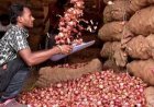 दिल्ली-एनसीआर में प्याज सिर्फ 35 रुपये किलो, केंद्र ने महंगाई पर कसी लगाम