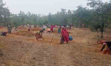 मनरेगा से बदली निम्मलगुड़ा की तस्वीर