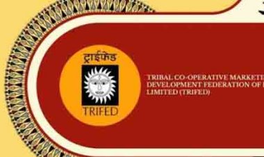 21 अगस्त को धमतरी में सजेगा ‘जनजातीय कारीगर एम्पैनलमेंट मेला’