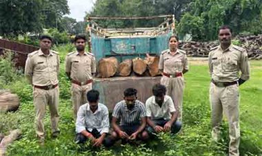 रामानुजनगर वन परिक्षेत्र में अवैध काष्ठ परिवहन पर बड़ी कार्रवाई