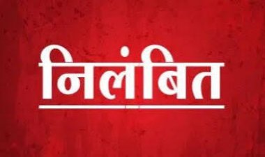 छत्तीसगढ़ आबकारी विभाग की बड़ी कार्रवाई