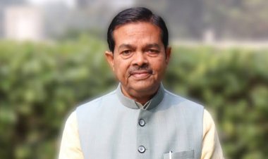 फ्लिपकार्ट, एमेजॉन और मीशो के खिलाफ 2025 में हेल्पलाइन पर सबसे अधिक शिकायतें : सरकार