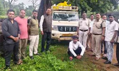 रात्रि गश्ती में अवैध सागौन से लदा पिकअप वाहन जब्त