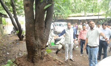 प्रोजेक्ट पुनर्जीवन से पेड़ों को मिली कंक्रीट और जाली से मुक्ति, रायपुर में चला महाभियान