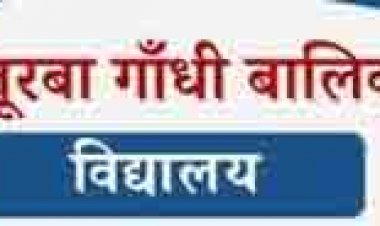 स्वच्छ एवं हरित विद्यालय रूरल कैटेगरी में  केजीबीवी सुनसुनिया राष्ट्रीय स्तर पर प्रथम