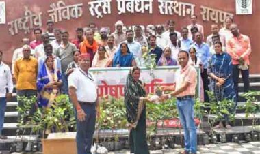 आईसीएआर-एनआईबीएसएम द्वारा 'पोषण वाटिका' पर प्रशिक्षण कार्यक्रम आयोजित