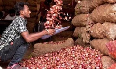 दिल्ली-एनसीआर में प्याज सिर्फ 35 रुपये किलो, केंद्र ने महंगाई पर कसी लगाम