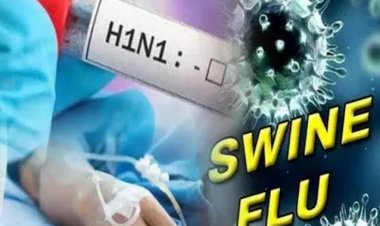 दिल्ली -एनसीआर में स्वाइन फ्लू का बढ़ता प्रकोप
