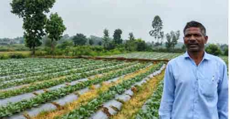 सूक्ष्म सिंचाई योजना से खेती बनी अधिक लाभकारी, ड्रिप सिंचाई अपनाकर किसान ने बढ़ाया सब्जी उत्पादन
