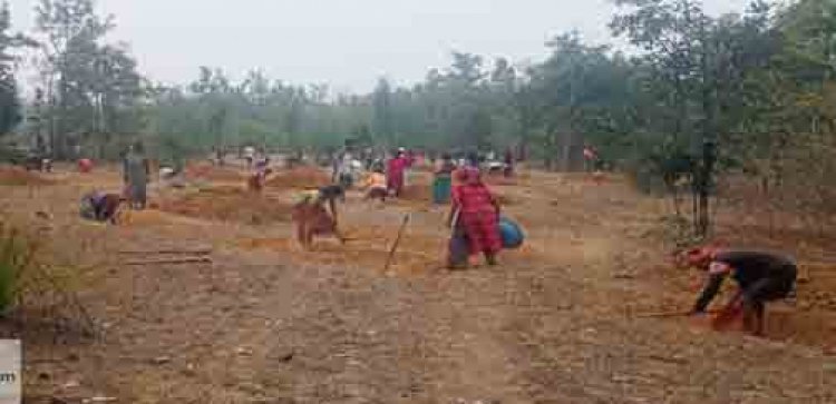 मनरेगा से बदली निम्मलगुड़ा की तस्वीर