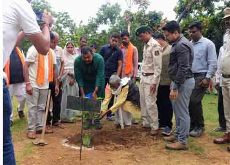 एक पेड़ माँ के नाम अभियान से बदली उजड़ी वन भूमि की तस्वीर