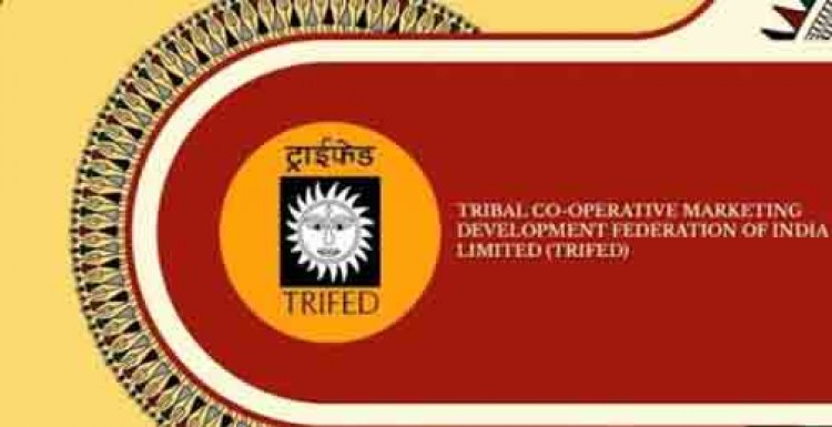21 अगस्त को धमतरी में सजेगा ‘जनजातीय कारीगर एम्पैनलमेंट मेला’