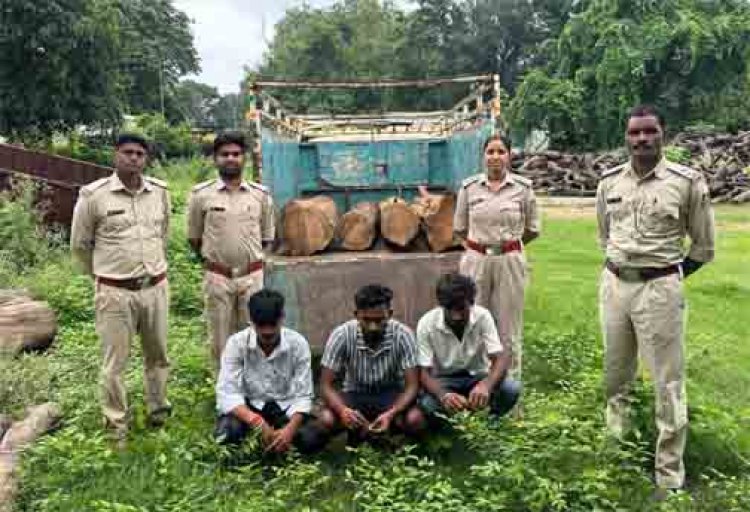 रामानुजनगर वन परिक्षेत्र में अवैध काष्ठ परिवहन पर बड़ी कार्रवाई