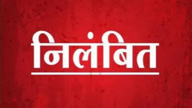 छत्तीसगढ़ आबकारी विभाग की बड़ी कार्रवाई
