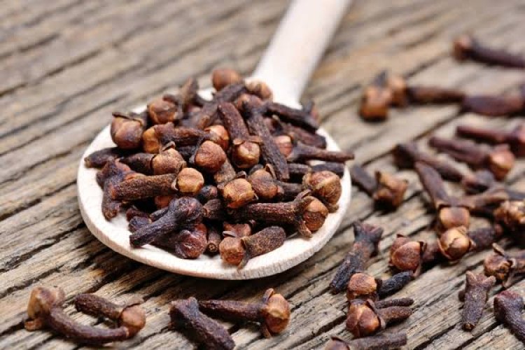 क्या लौंग दर्द कम करने में असरदार है? जानें इसके फायदे, नुकसान