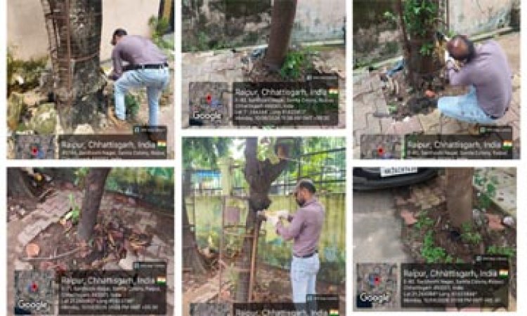 प्रोजेक्ट पुनर्जीवन अंतर्गत कांक्रीट के घेरों पेवर को हटाने अभियान