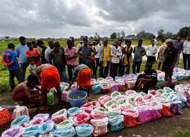 कोरिया में 174 किसानों को मिला 1020 बैग उन्नत मत्स्य बीज