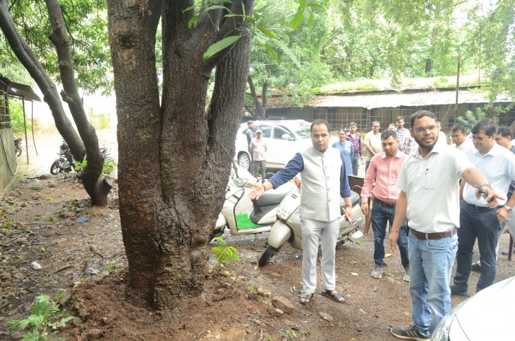 प्रोजेक्ट पुनर्जीवन से पेड़ों को मिली कंक्रीट और जाली से मुक्ति, रायपुर में चला महाभियान