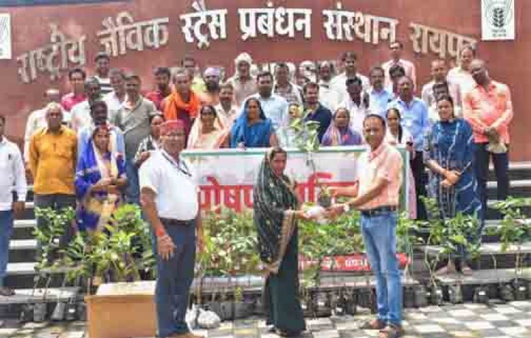 आईसीएआर-एनआईबीएसएम द्वारा 'पोषण वाटिका' पर प्रशिक्षण कार्यक्रम आयोजित