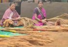 अबुझमाड़ की नई सुबह: जब जंगलों की छांव से निकलकर स्वावलंबन की मिसाल बनीं नारायणपुर की महिलाएं
